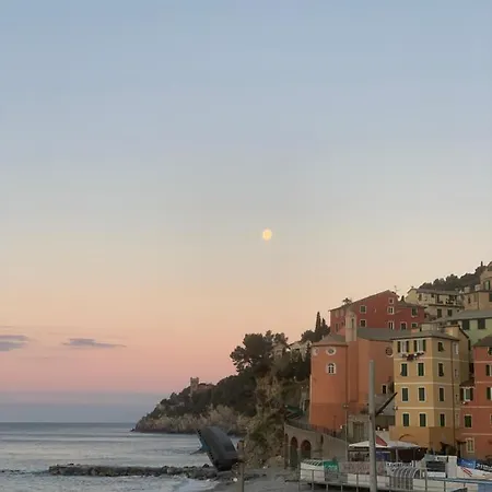 Mare *